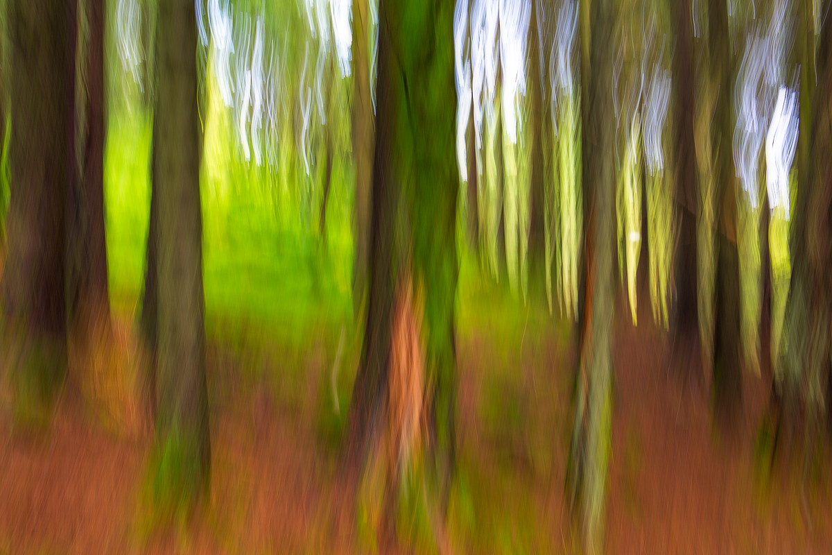 Shape Colours Q2A7429